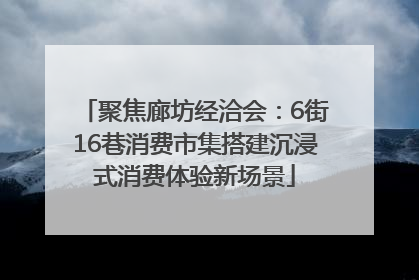 聚焦廊坊经洽会：6街16巷消费市集搭建沉浸式消费体验新场景