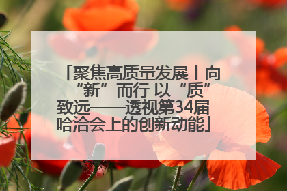 聚焦高质量发展丨向“新”而行 以“质”致远——透视第34届哈洽会上的创新动能