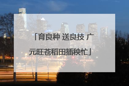 育良种 送良技 广元旺苍稻田插秧忙