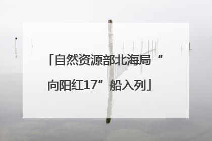 自然资源部北海局“向阳红17”船入列