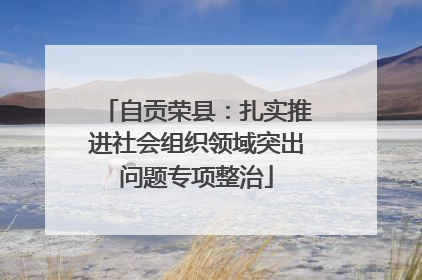 自贡荣县：扎实推进社会组织领域突出问题专项整治