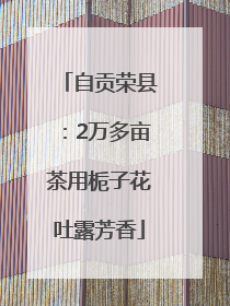 自贡荣县：2万多亩茶用栀子花吐露芳香