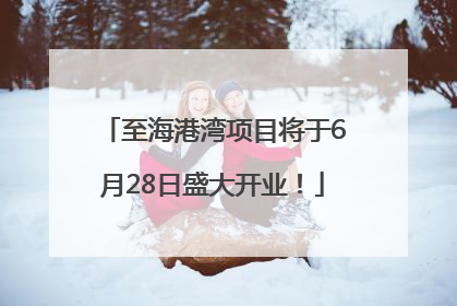 至海港湾项目将于6月28日盛大开业！