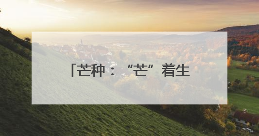 芒种：“芒”着生长，“种”下希望