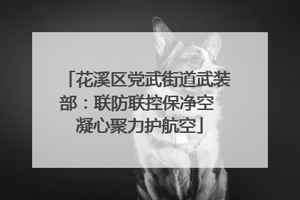 花溪区党武街道武装部：联防联控保净空 凝心聚力护航空