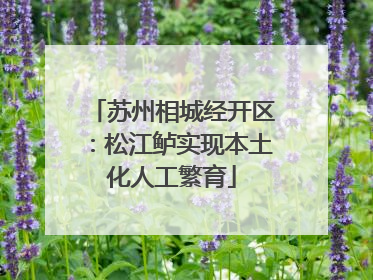 苏州相城经开区：松江鲈实现本土化人工繁育