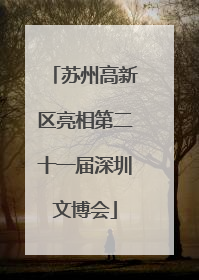 苏州高新区亮相第二十一届深圳文博会