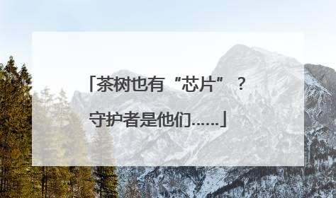 茶树也有“芯片”？守护者是他们……