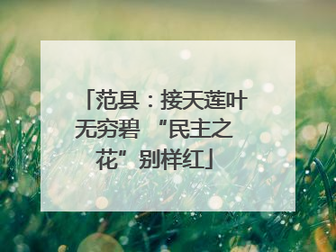 范县：接天莲叶无穷碧 “民主之花”别样红