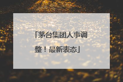 茅台集团人事调整！最新表态