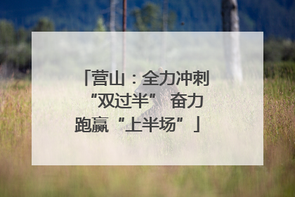 营山：全力冲刺“双过半” 奋力跑赢“上半场”