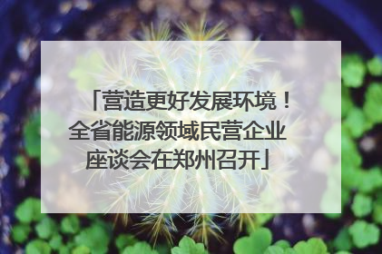 营造更好发展环境！全省能源领域民营企业座谈会在郑州召开