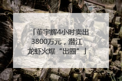董宇辉4小时卖出3800万元，潜江龙虾火爆“出圈”