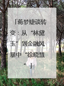 蒋梦婕谈转变：从“林黛玉”到金融风暴中“徐晓慧”