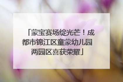 蒙宝赛场绽光芒！成都市锦江区童蒙幼儿园两园区喜获荣耀