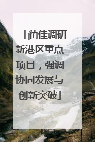 蔺佳调研新港区重点项目，强调协同发展与创新突破