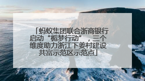 蚂蚁集团联合浙商银行启动“栀梦行动”，三个维度助力浙江下姜村建设共富示范区示范点