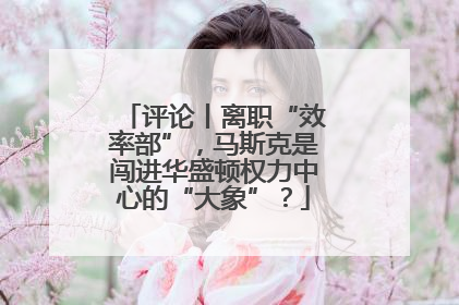 评论丨离职“效率部”，马斯克是闯进华盛顿权力中心的“大象”？