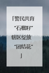 警民共育“石榴籽” 辖区绽放“团结花”