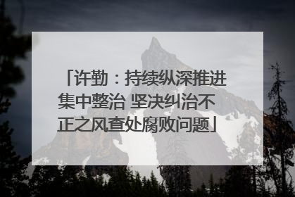 许勤：持续纵深推进集中整治 坚决纠治不正之风查处腐败问题