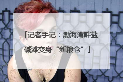 记者手记：渤海湾畔盐碱滩变身“新粮仓”