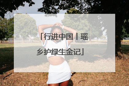 行进中国丨瑶乡护绿生金记