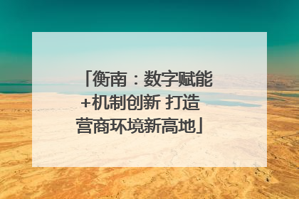衡南：数字赋能+机制创新 打造营商环境新高地