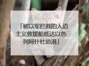 被以军拦截的人道主义救援船抵达以色列阿什杜德港