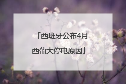 西班牙公布4月西葡大停电原因