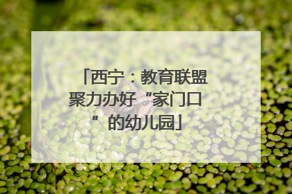 西宁：教育联盟聚力办好“家门口”的幼儿园
