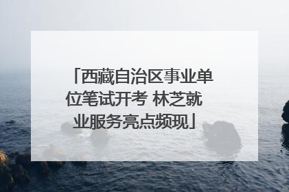 西藏自治区事业单位笔试开考 林芝就业服务亮点频现