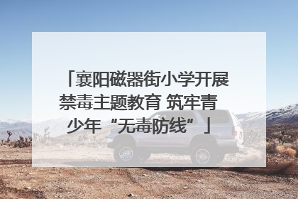 襄阳磁器街小学开展禁毒主题教育 筑牢青少年“无毒防线”