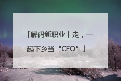 解码新职业丨走，一起下乡当“CEO”