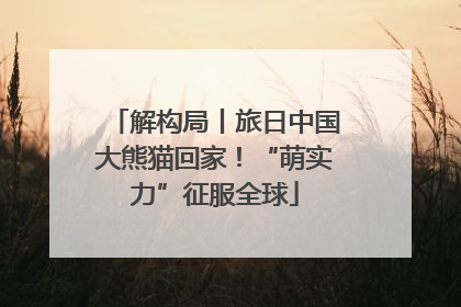 解构局丨旅日中国大熊猫回家！“萌实力”征服全球