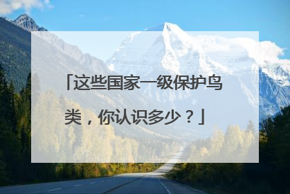 这些国家一级保护鸟类，你认识多少？