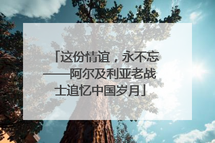 这份情谊，永不忘——阿尔及利亚老战士追忆中国岁月