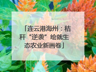 连云港海州：秸秆“逆袭”绘就生态农业新画卷