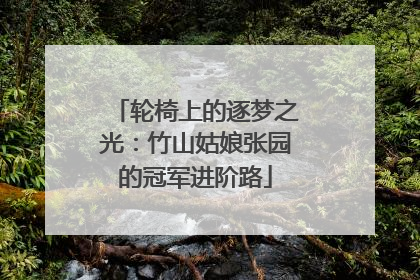 轮椅上的逐梦之光：竹山姑娘张园的冠军进阶路