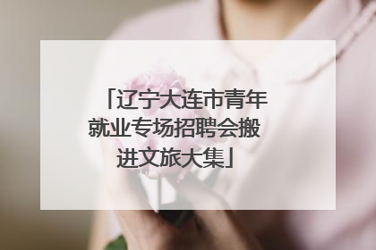 辽宁大连市青年就业专场招聘会搬进文旅大集