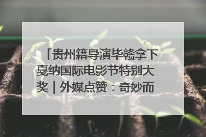 贵州籍导演毕赣拿下戛纳国际电影节特别大奖｜外媒点赞：奇妙而广阔的纯粹电影梦