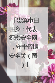 贵溪市白田乡：代表织密安全网，守牢假期安全关（图）
