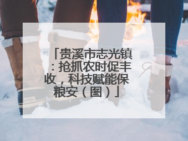 贵溪市志光镇：抢抓农时促丰收，科技赋能保粮安（图）