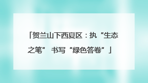 贺兰山下西夏区：执“生态之笔” 书写“绿色答卷”