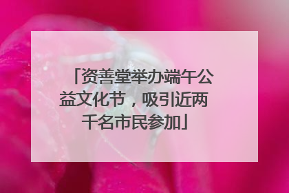 资善堂举办端午公益文化节，吸引近两千名市民参加