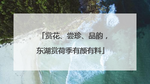 赏花、尝珍、品韵，东湖赏荷季有颜有料