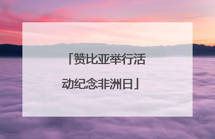 赞比亚举行活动纪念非洲日