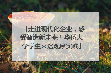走进现代化企业，感受智造新未来！华侨大学学生来洛观摩实践