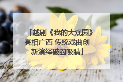 越剧《我的大观园》亮相广西 传统戏曲创新演绎破圈吸睛