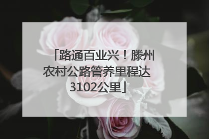 路通百业兴！滕州农村公路管养里程达3102公里
