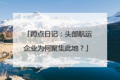 蹲点日记：头部航运企业为何聚集此地？